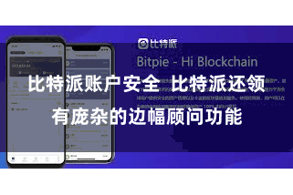 比特派账户安全  比特派还领有庞杂的边幅顾问功能