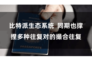 比特派生态系统 同期也撑捏多种往复对的撮合往复