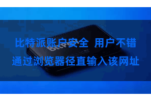 比特派账户安全  用户不错通过浏览器径直输入该网址