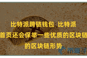 比特派跨链钱包  比特派官网首页还会保举一些优质的区块链形势